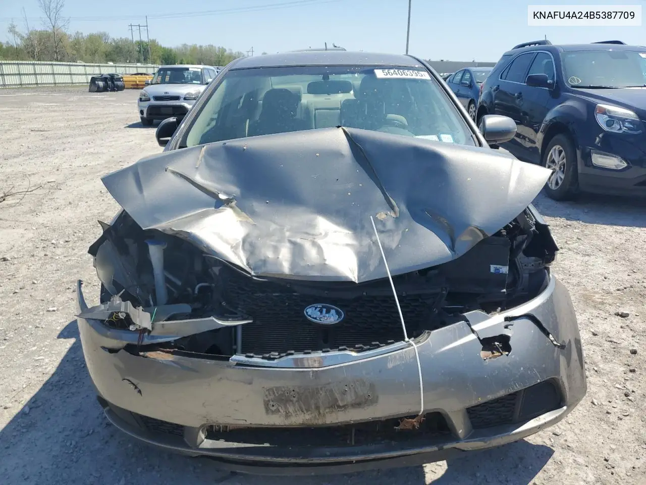 2011 Kia Forte Ex VIN: KNAFU4A24B5387709 Lot: 56406395