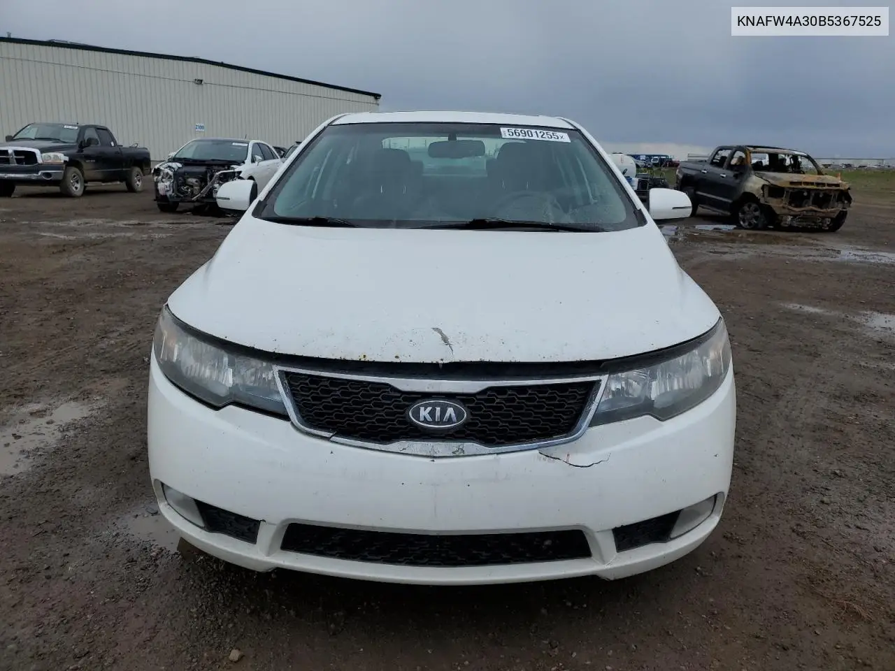 2011 Kia Forte Sx VIN: KNAFW4A30B5367525 Lot: 56901255