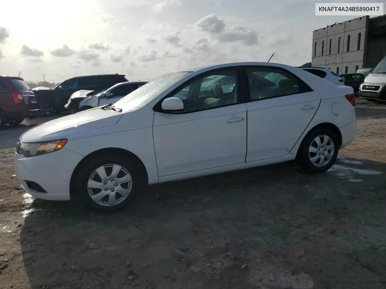 2011 Kia Forte Lx VIN: KNAFT4A24B5890417 Lot: 62926625
