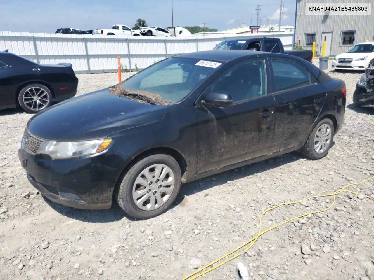 2011 Kia Forte Ex VIN: KNAFU4A21B5436803 Lot: 66018125