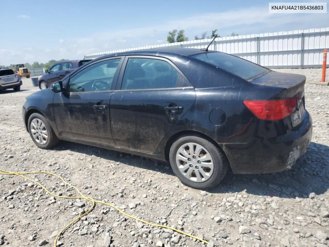2011 Kia Forte Ex VIN: KNAFU4A21B5436803 Lot: 66018125