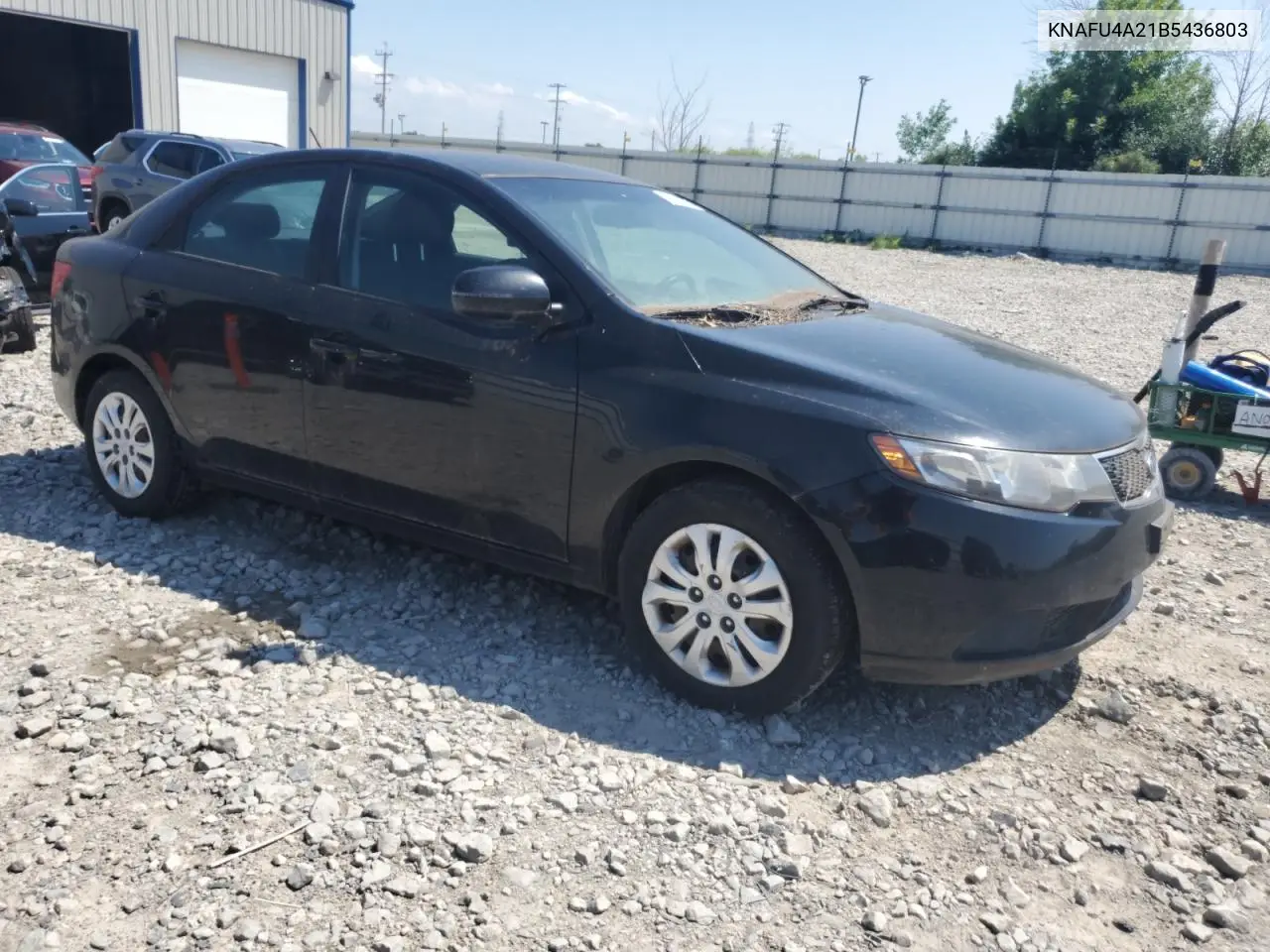 2011 Kia Forte Ex VIN: KNAFU4A21B5436803 Lot: 66018125
