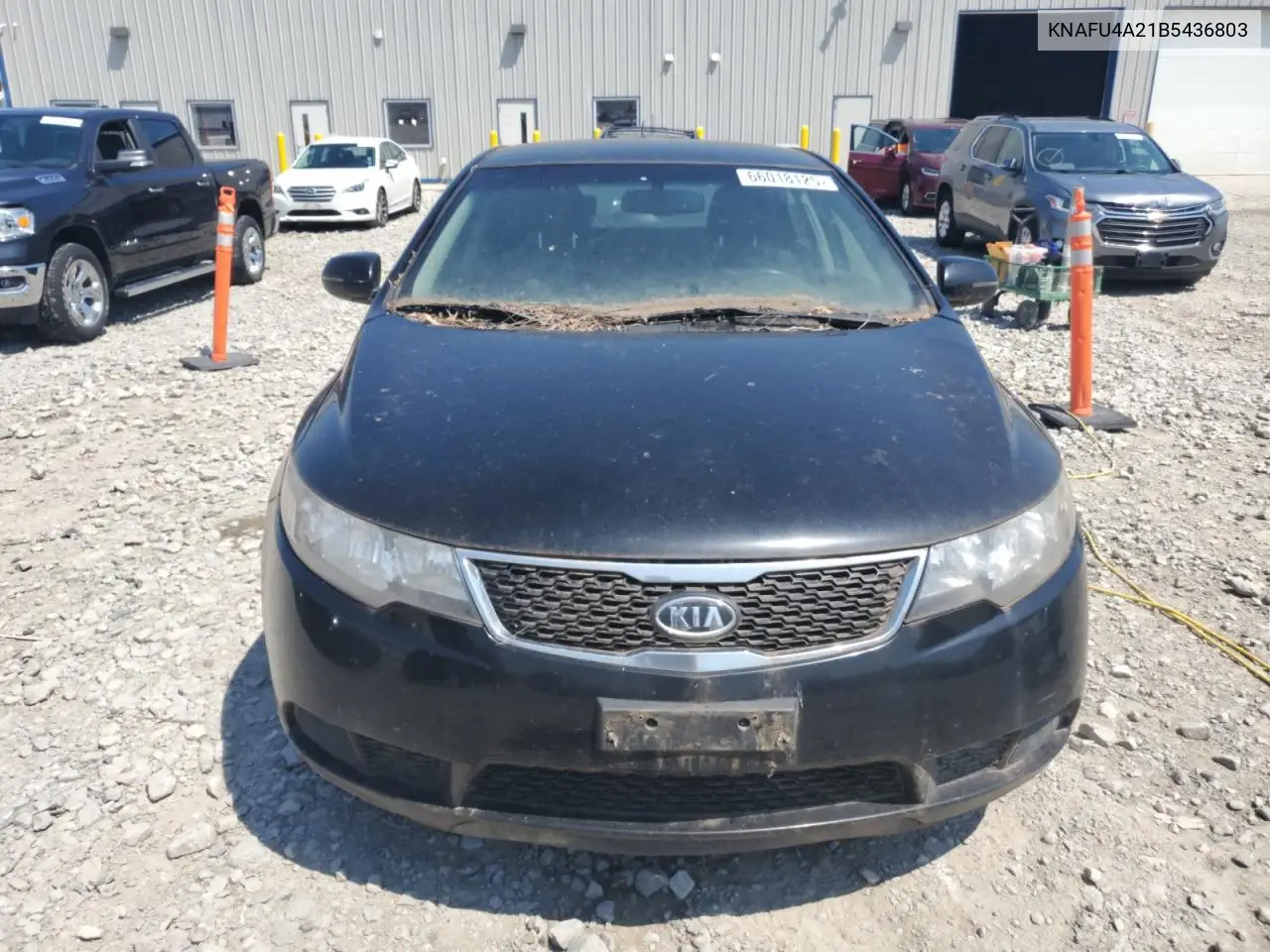 2011 Kia Forte Ex VIN: KNAFU4A21B5436803 Lot: 66018125