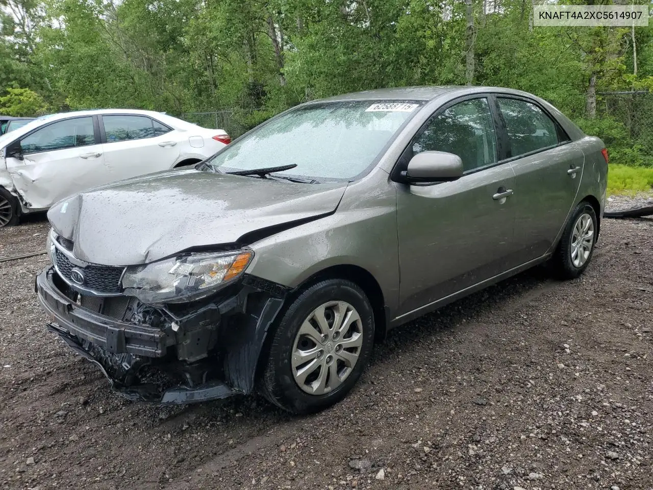 2012 Kia Forte Lx VIN: KNAFT4A2XC5614907 Lot: 62588715