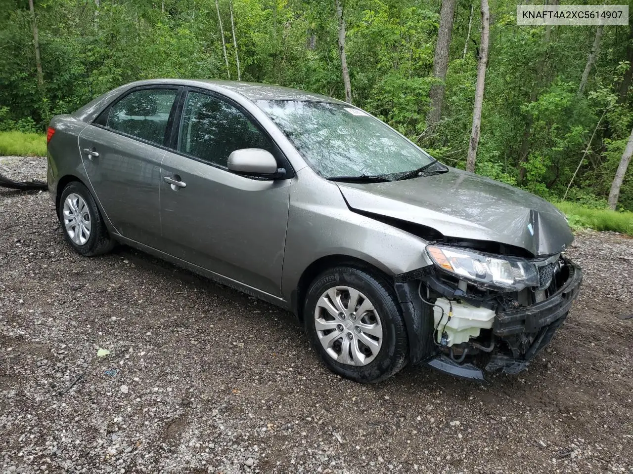 2012 Kia Forte Lx VIN: KNAFT4A2XC5614907 Lot: 62588715