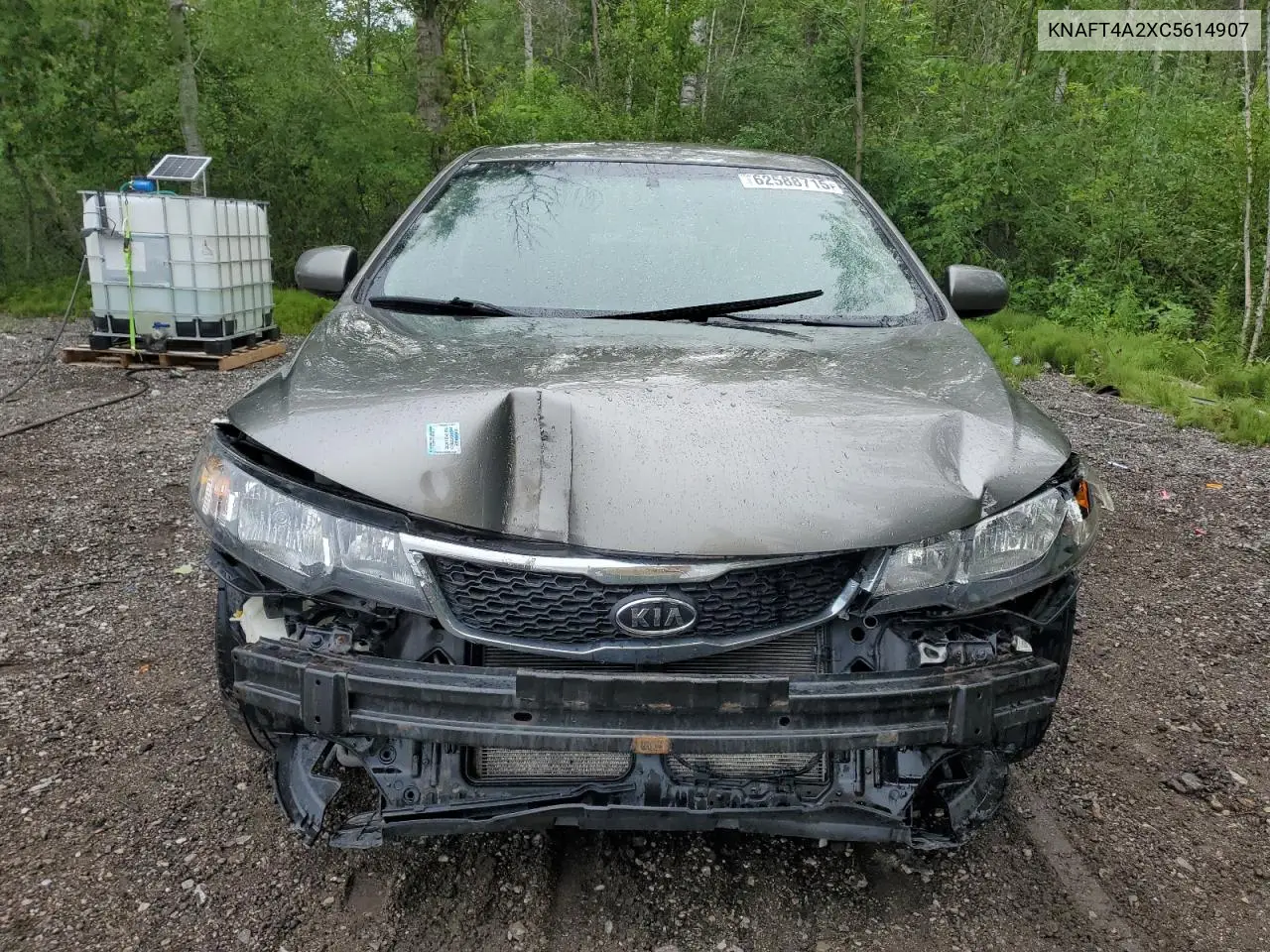 2012 Kia Forte Lx VIN: KNAFT4A2XC5614907 Lot: 62588715