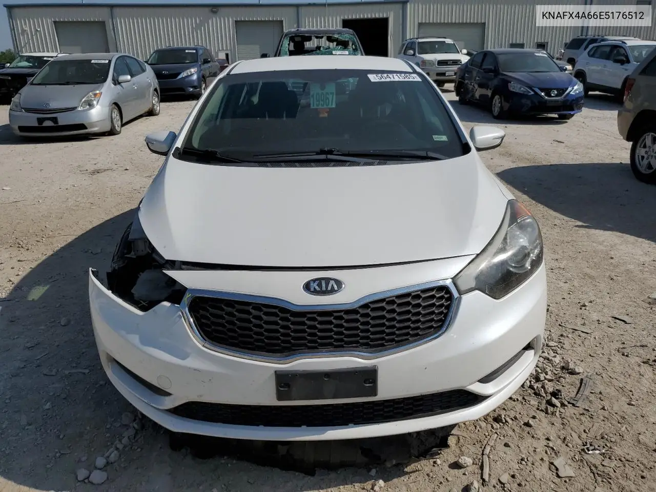 2014 Kia Forte Lx VIN: KNAFX4A66E5176512 Lot: 56471585