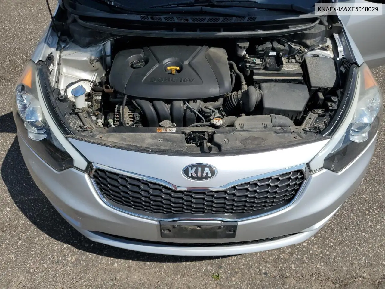 2014 Kia Forte Lx VIN: KNAFX4A6XE5048029 Lot: 64906165