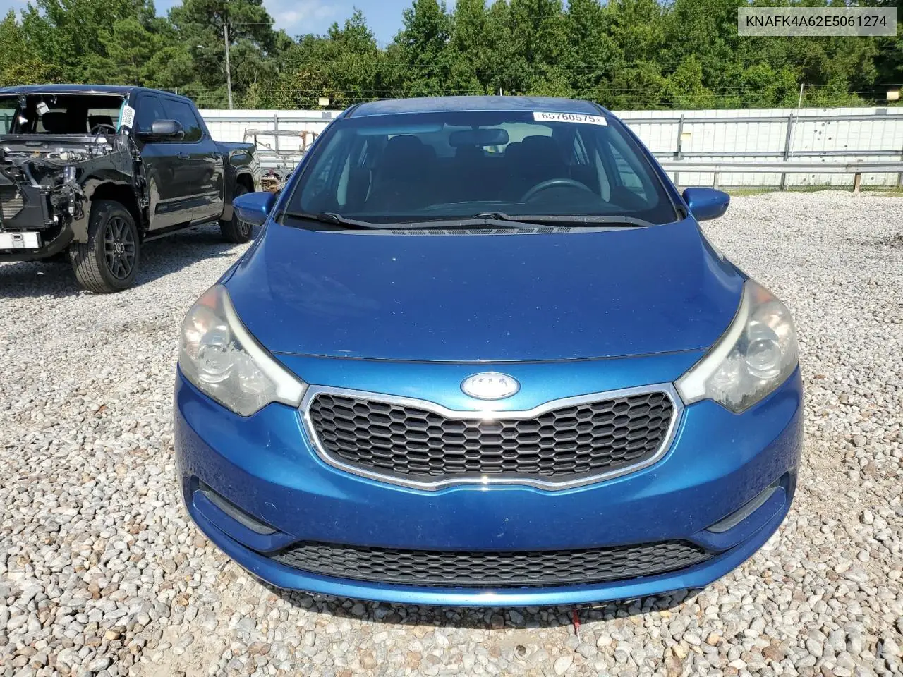 2014 Kia Forte Lx VIN: KNAFK4A62E5061274 Lot: 65760575