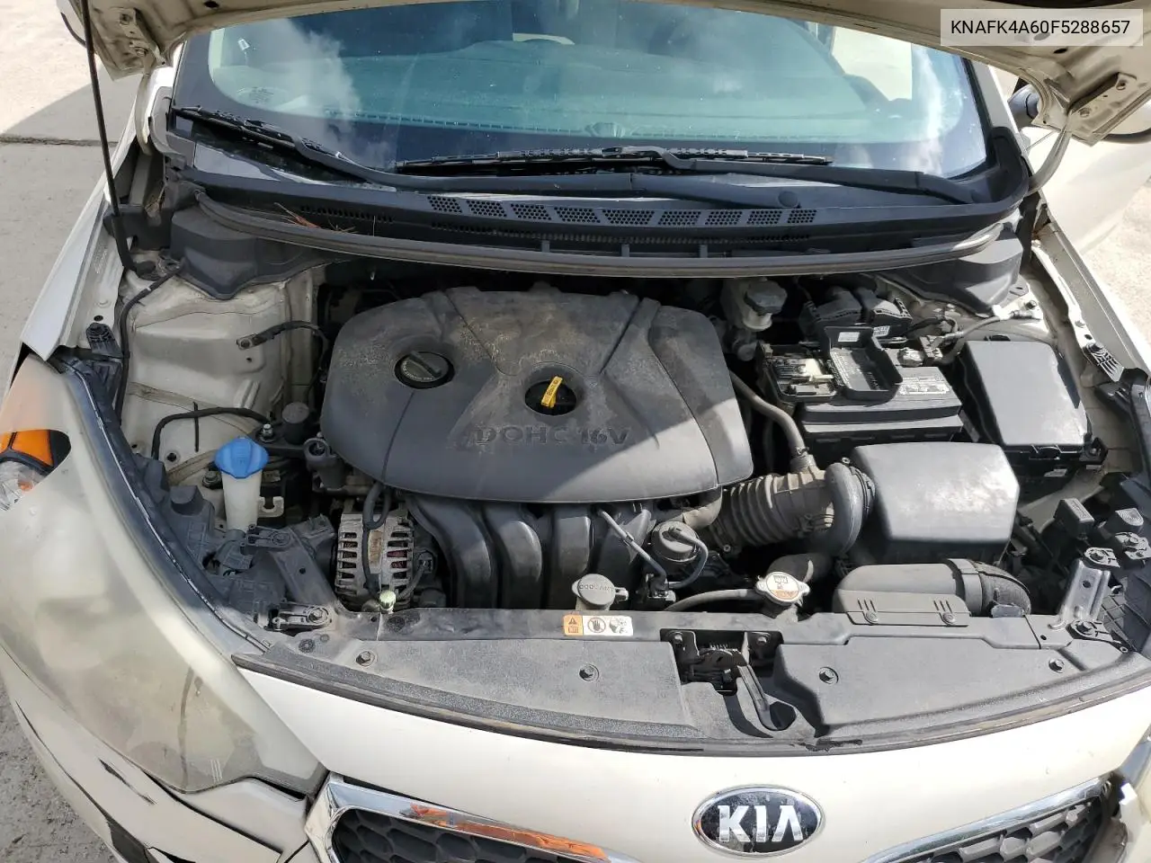 2015 Kia Forte Lx VIN: KNAFK4A60F5288657 Lot: 56285645