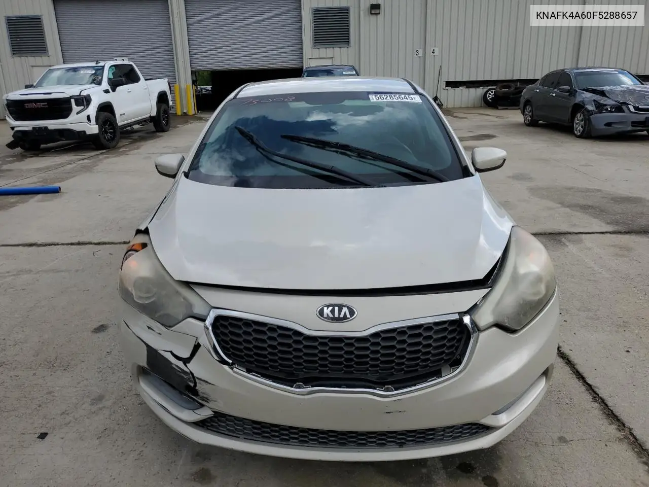 2015 Kia Forte Lx VIN: KNAFK4A60F5288657 Lot: 56285645