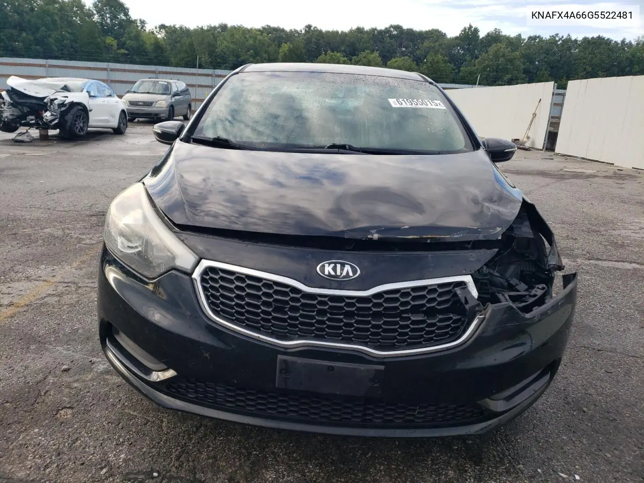 2016 Kia Forte Lx VIN: KNAFX4A66G5522481 Lot: 61955015