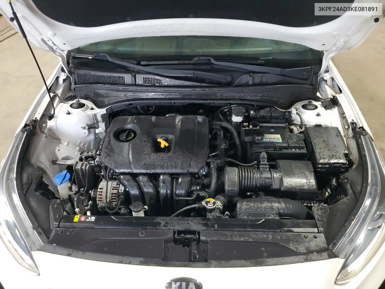 2019 Kia Forte Fe VIN: 3KPF24AD3KE081891 Lot: 56601665
