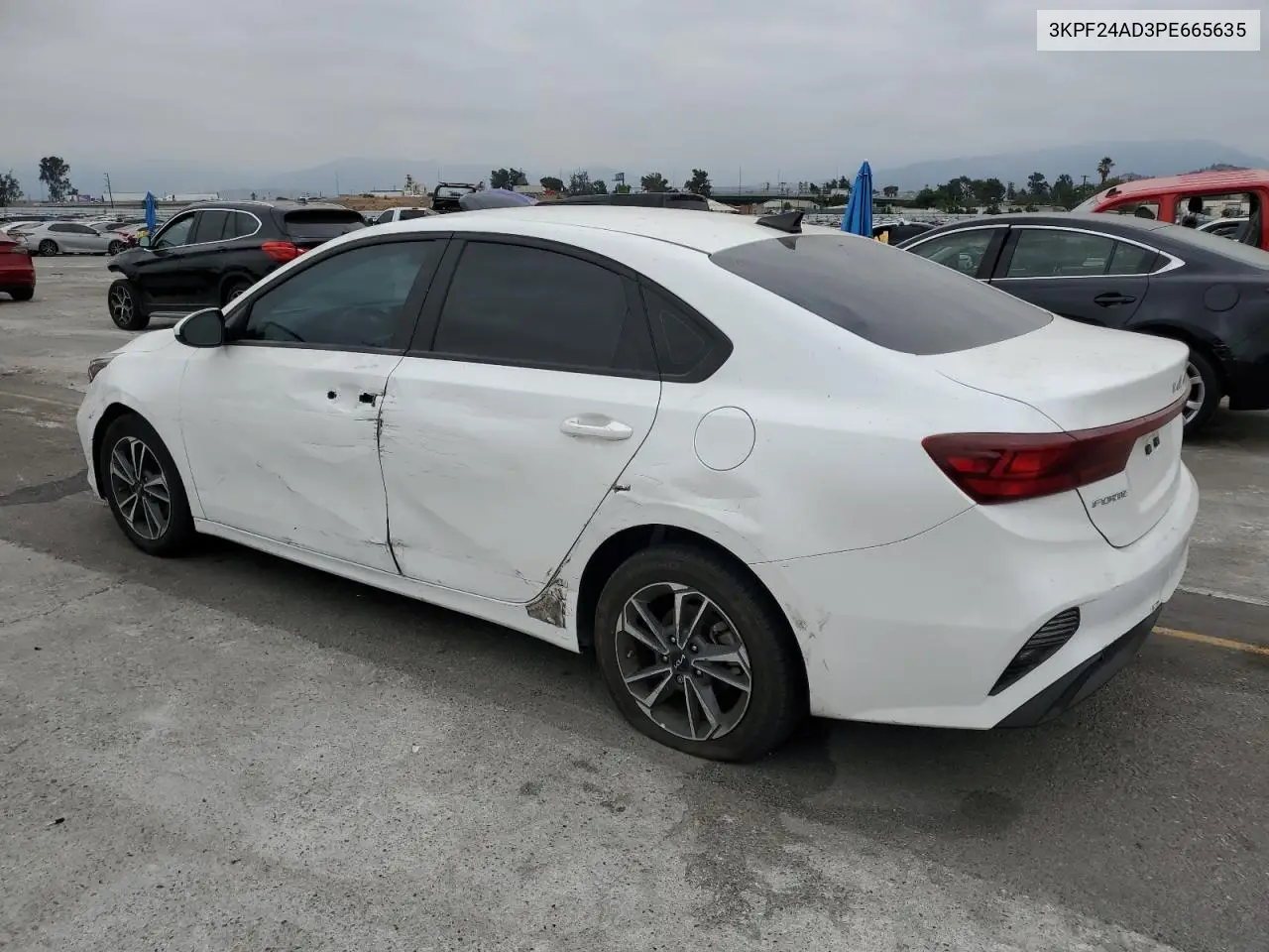 2023 Kia Forte Lx VIN: 3KPF24AD3PE665635 Lot: 65798015