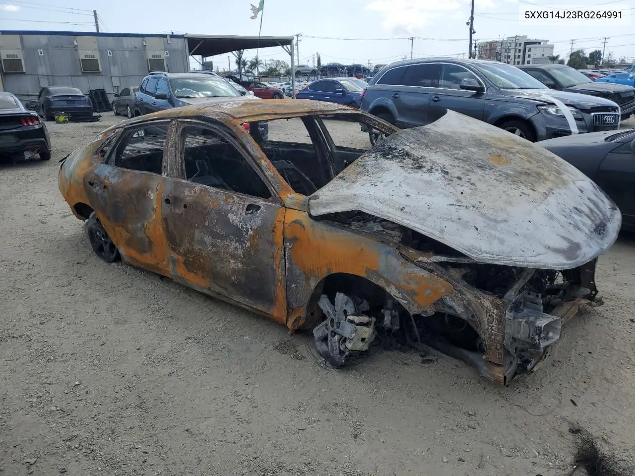 2024 Kia K5 Lxs VIN: 5XXG14J23RG264991 Lot: 51958245