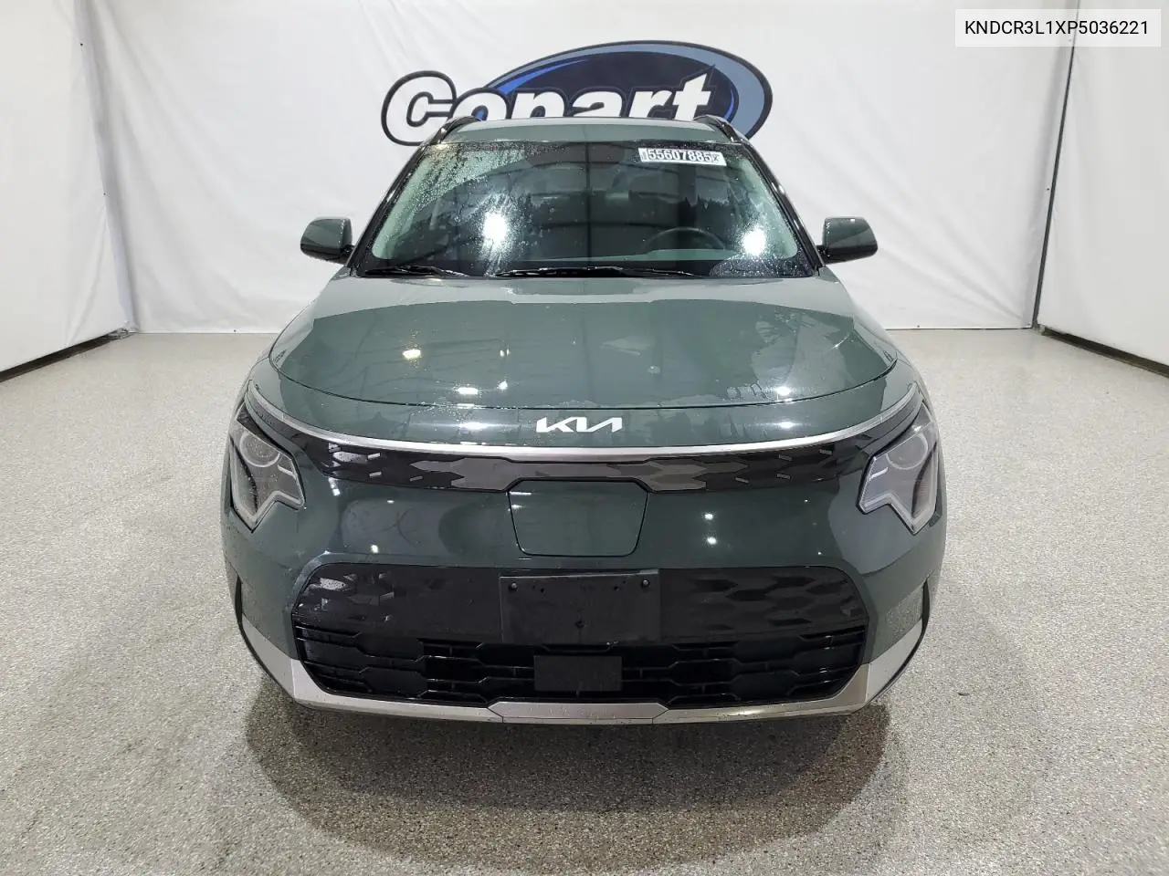 2023 Kia Niro Wind VIN: KNDCR3L1XP5036221 Lot: 55641625