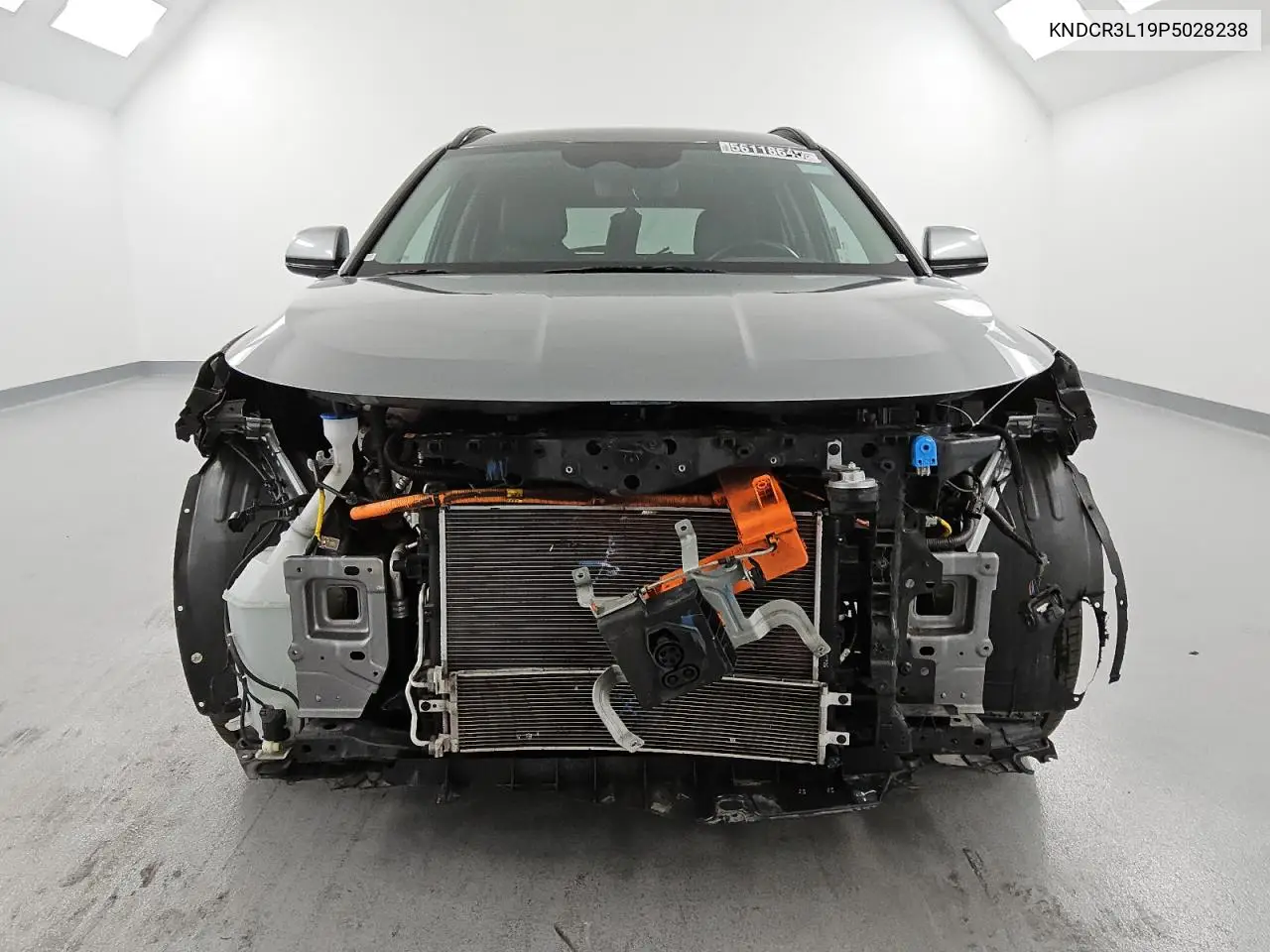 2023 Kia Niro Wind VIN: KNDCR3L19P5028238 Lot: 56118645