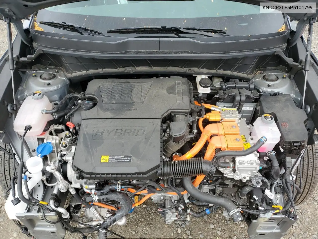 2023 Kia Niro Ex VIN: KNDCR3LE5P5101799 Lot: 56982065