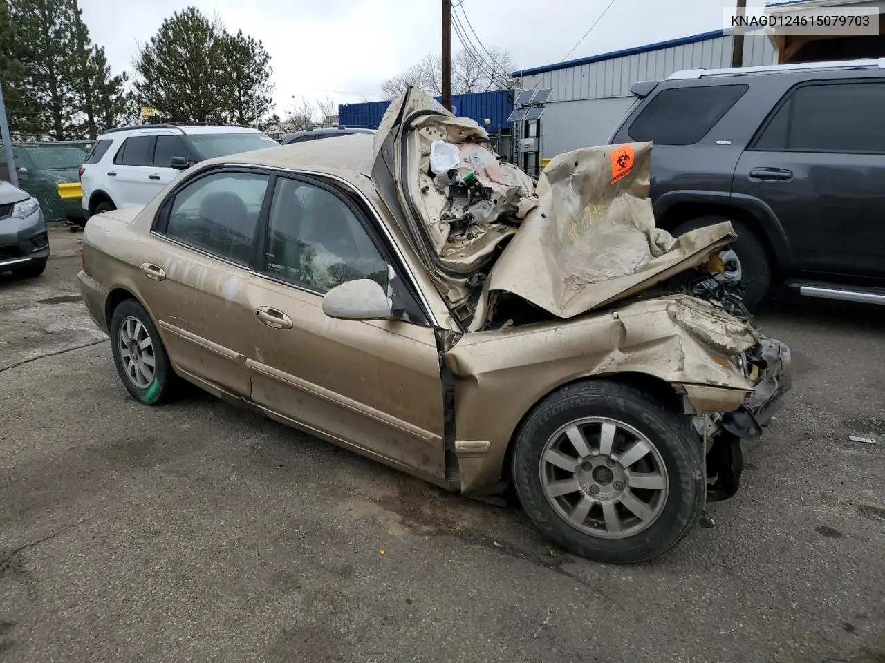 2001 Kia Optima Magentis VIN: KNAGD124615079703 Lot: 53052835