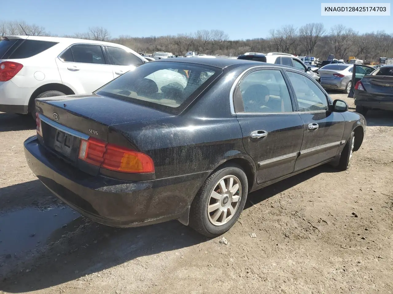 2002 Kia Optima Magentis VIN: KNAGD128425174703 Lot: 49636105