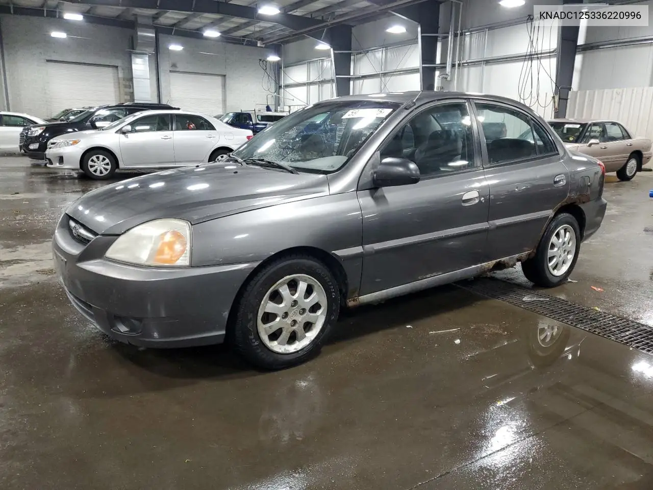 2003 Kia Rio VIN: KNADC125336220996 Lot: 59165725