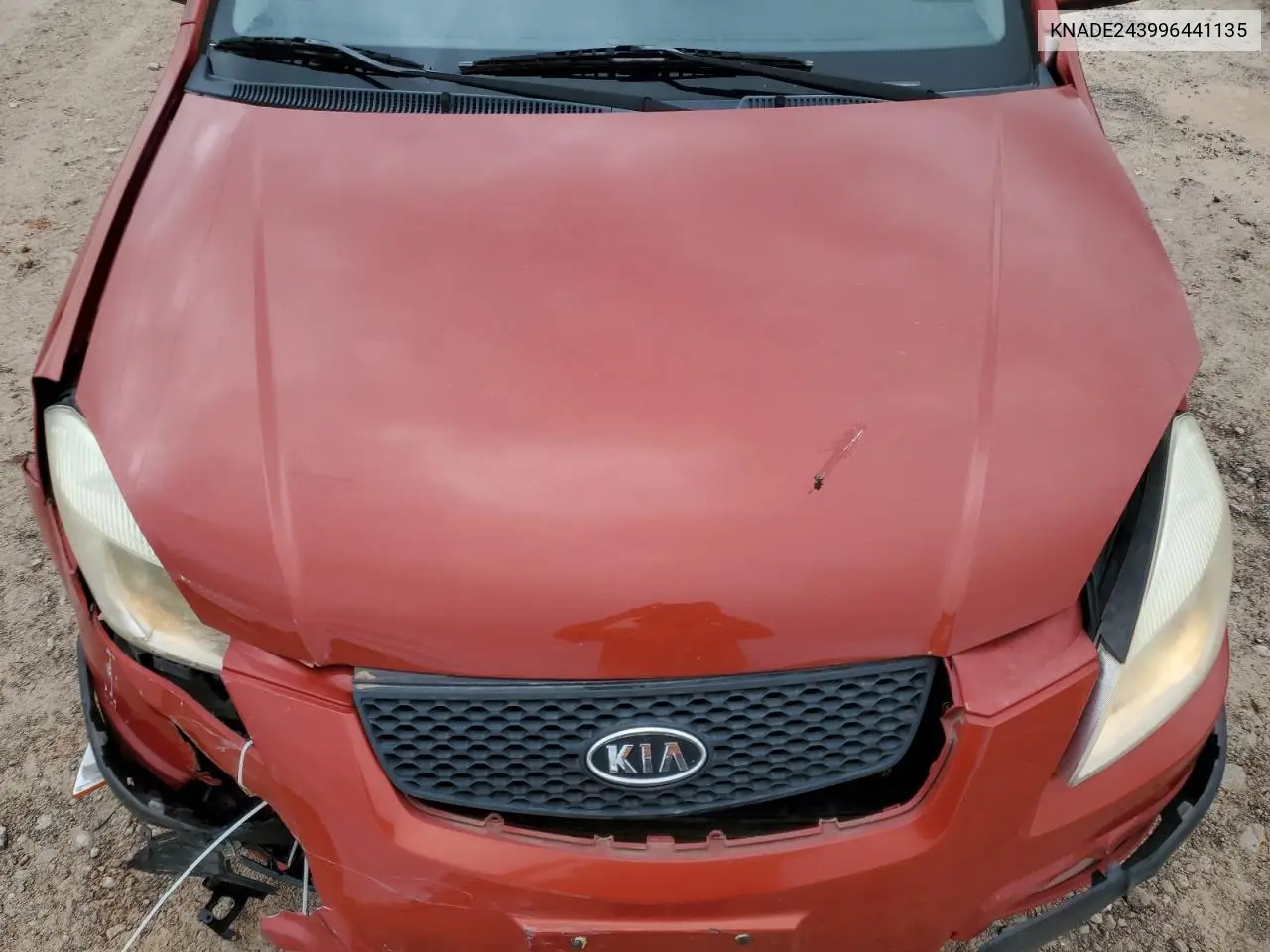 2009 Kia Rio 5 Sx VIN: KNADE243996441135 Lot: 61589505