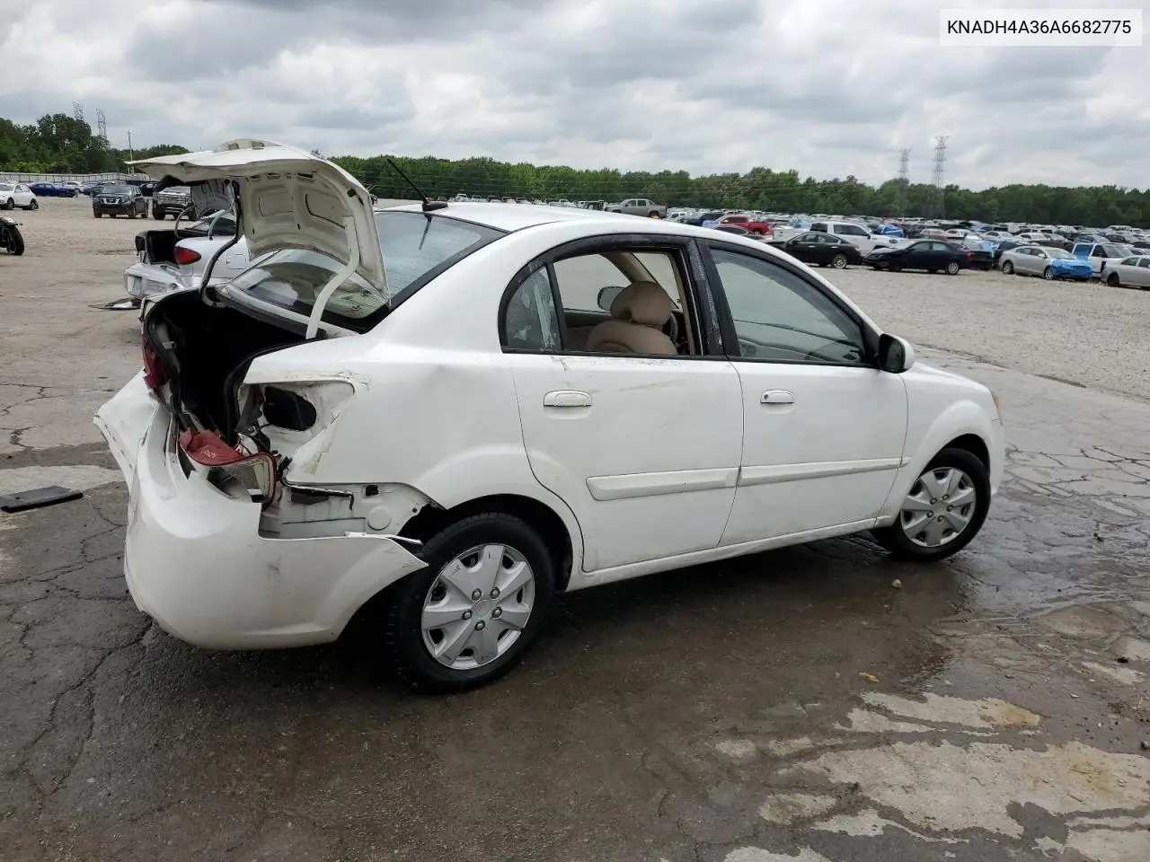 2010 Kia Rio Lx VIN: KNADH4A36A6682775 Lot: 56206505
