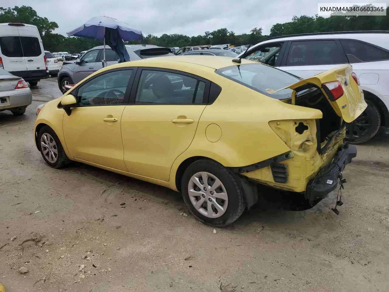 2016 Kia Rio Lx VIN: KNADM4A34G6603365 Lot: 56351075