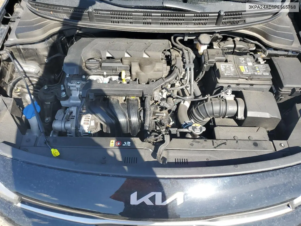 2023 Kia Rio Lx VIN: 3KPA24AD1PE565768 Lot: 62164815