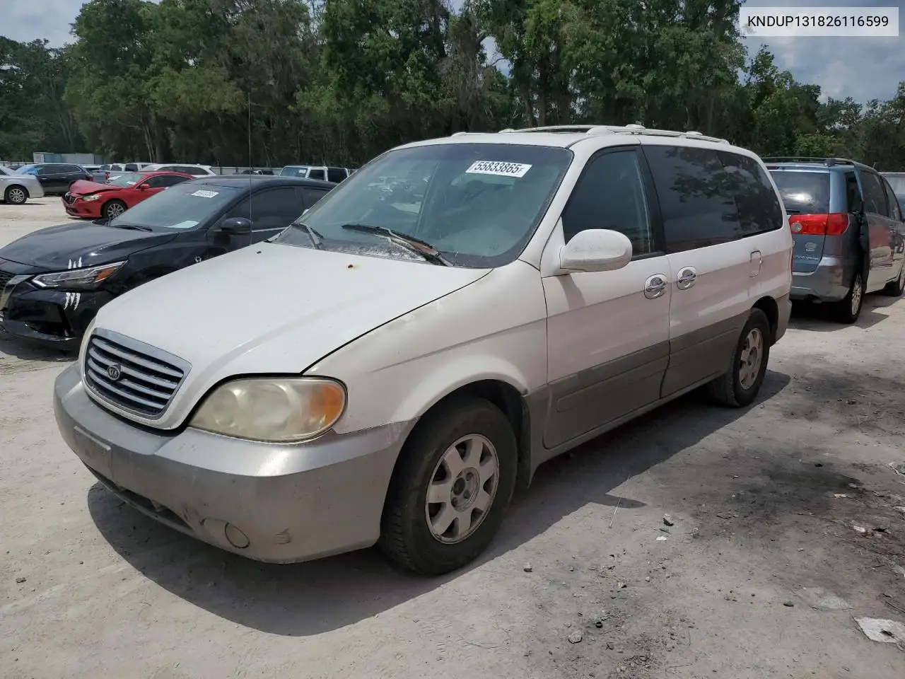 2002 Kia Sedona Ex VIN: KNDUP131826116599 Lot: 55833865