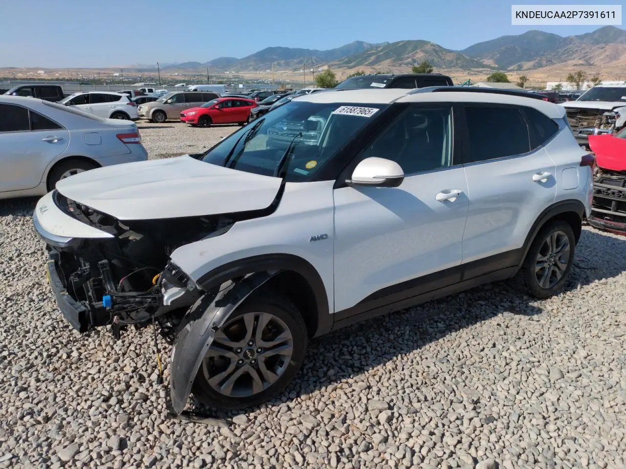 2023 Kia Seltos S VIN: KNDEUCAA2P7391611 Lot: 61587965