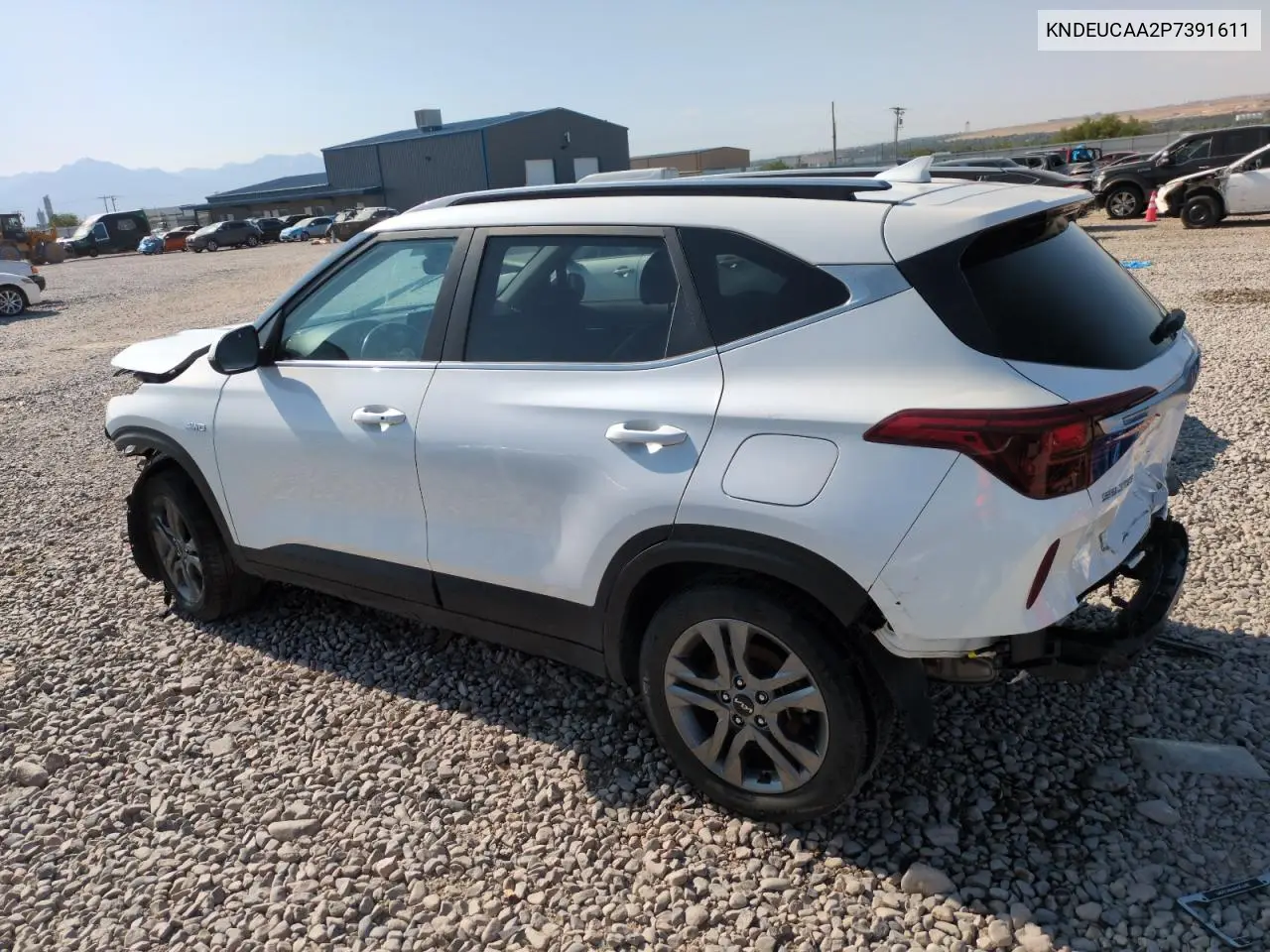 2023 Kia Seltos S VIN: KNDEUCAA2P7391611 Lot: 61587965