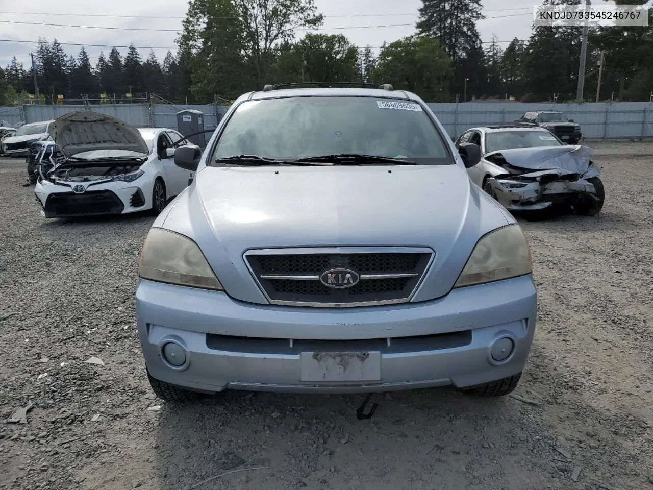 2004 Kia Sorento Ex VIN: KNDJD733545246767 Lot: 56669605