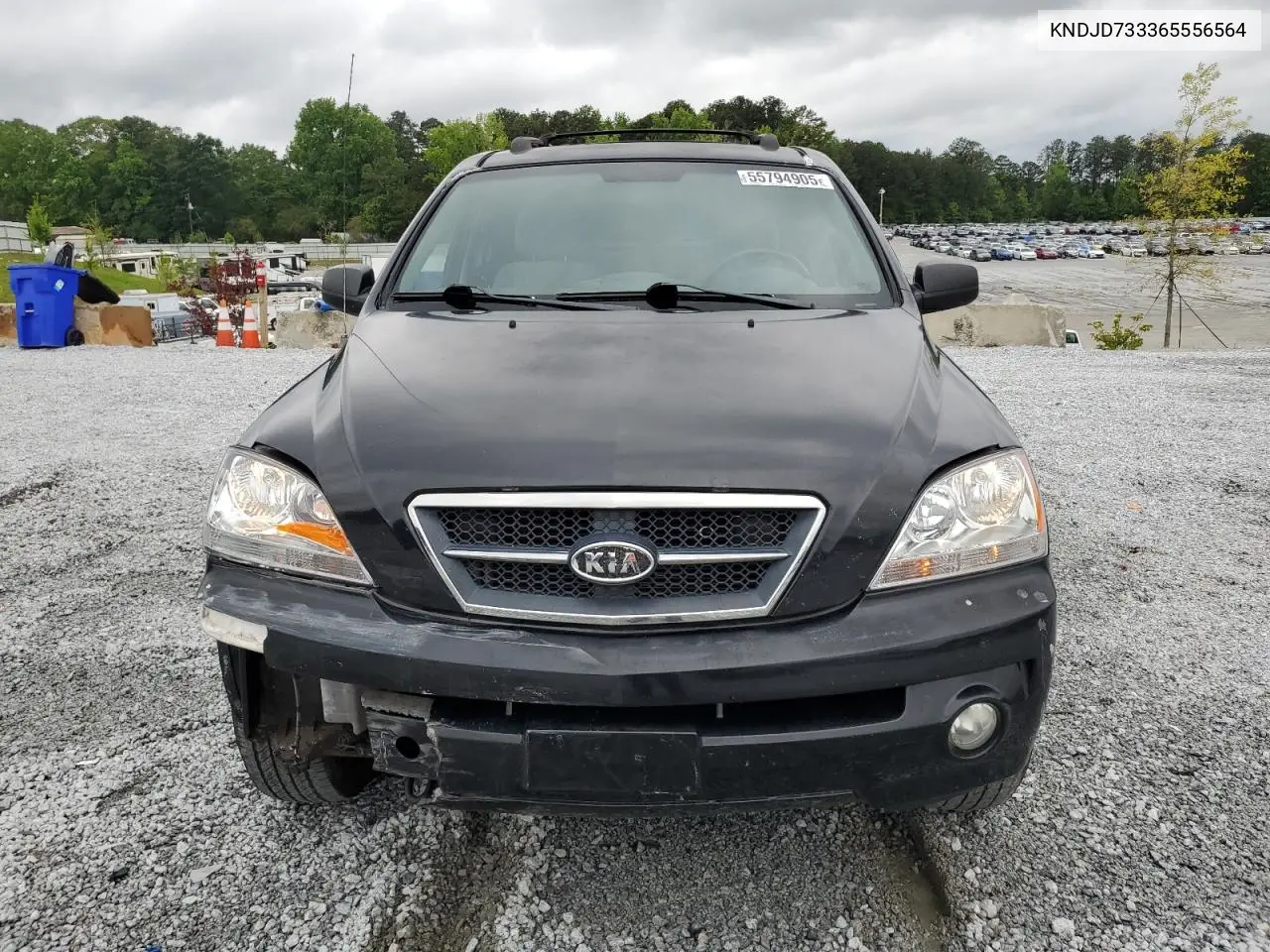2006 Kia Sorento Ex VIN: KNDJD733365556564 Lot: 55794905