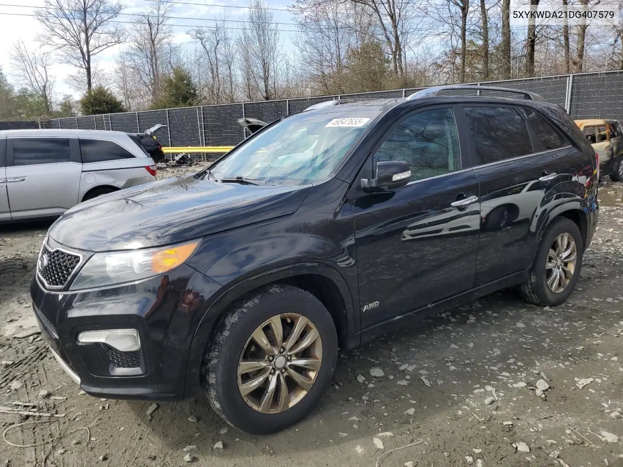 2013 Kia Sorento Sx VIN: 5XYKWDA21DG407579 Lot: 49547655