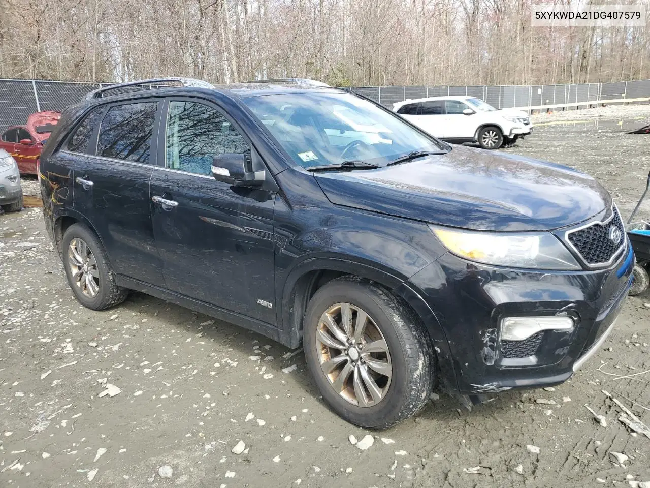 2013 Kia Sorento Sx VIN: 5XYKWDA21DG407579 Lot: 49547655