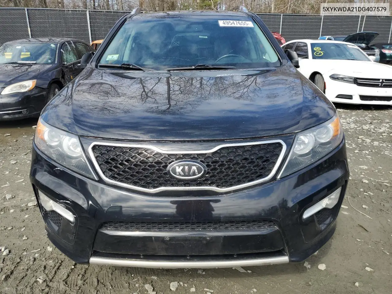 2013 Kia Sorento Sx VIN: 5XYKWDA21DG407579 Lot: 49547655