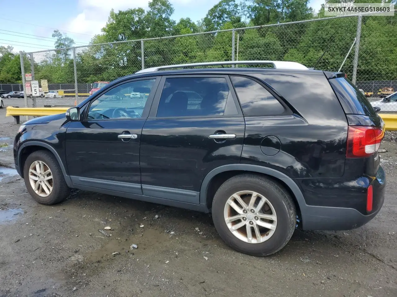 2014 Kia Sorento Lx VIN: 5XYKT4A65EG518603 Lot: 56699255