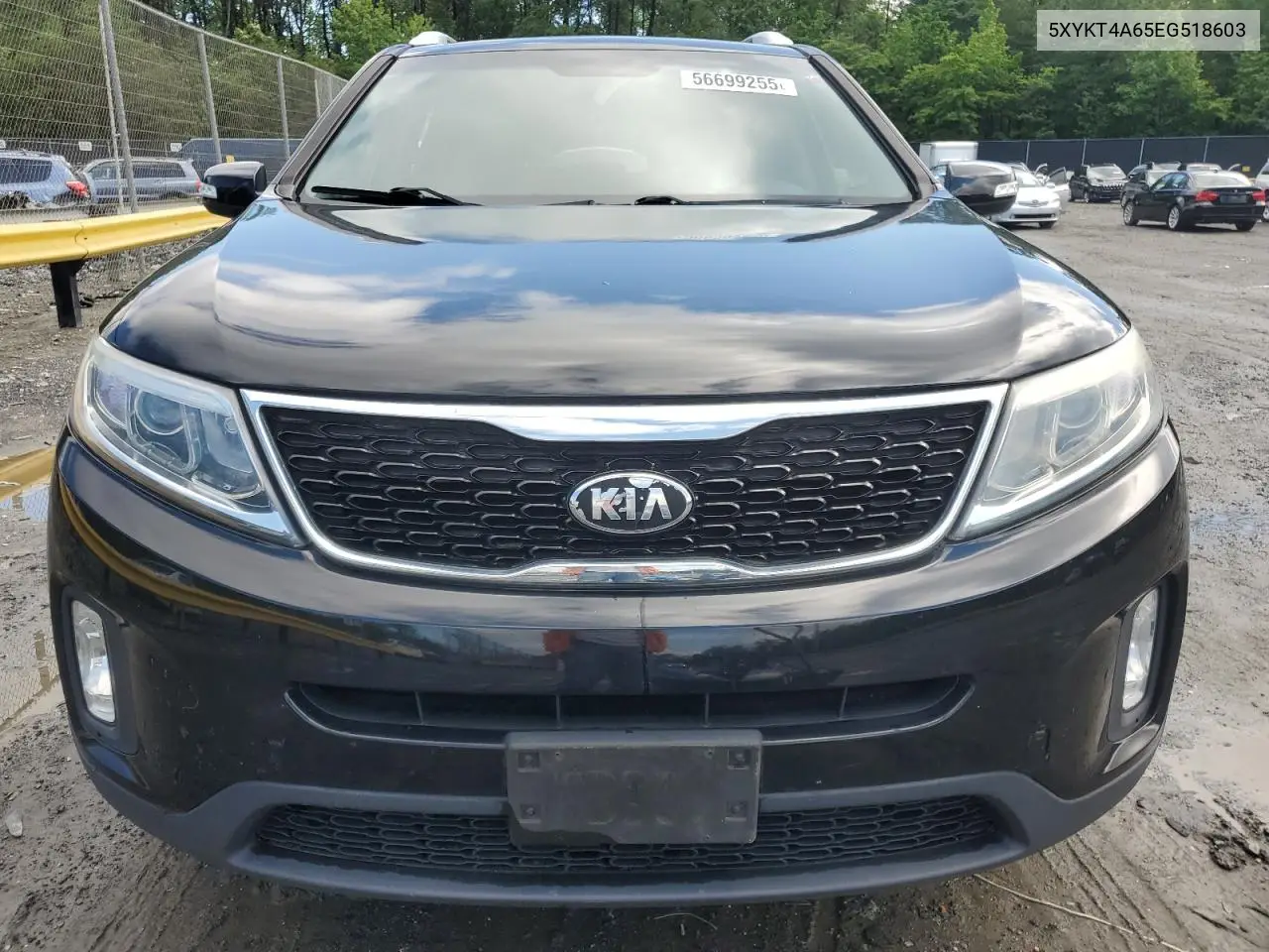 2014 Kia Sorento Lx VIN: 5XYKT4A65EG518603 Lot: 56699255