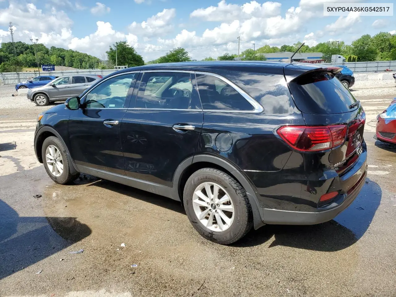 2019 Kia Sorento L VIN: 5XYPG4A36KG542517 Lot: 56360635