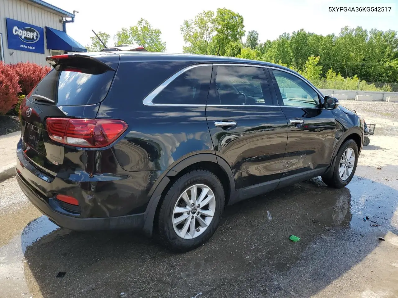 2019 Kia Sorento L VIN: 5XYPG4A36KG542517 Lot: 56360635