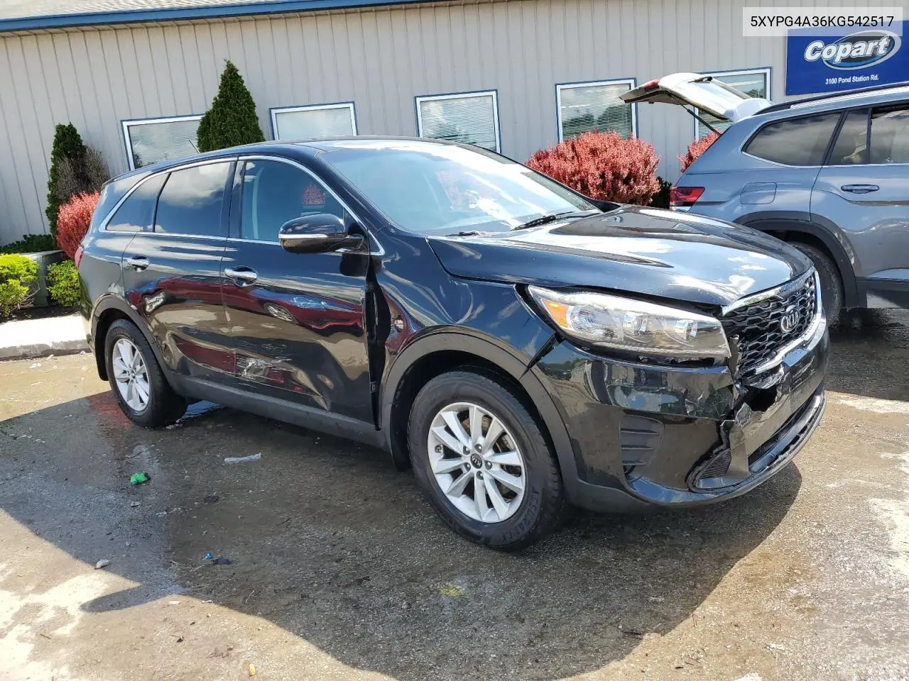 2019 Kia Sorento L VIN: 5XYPG4A36KG542517 Lot: 56360635