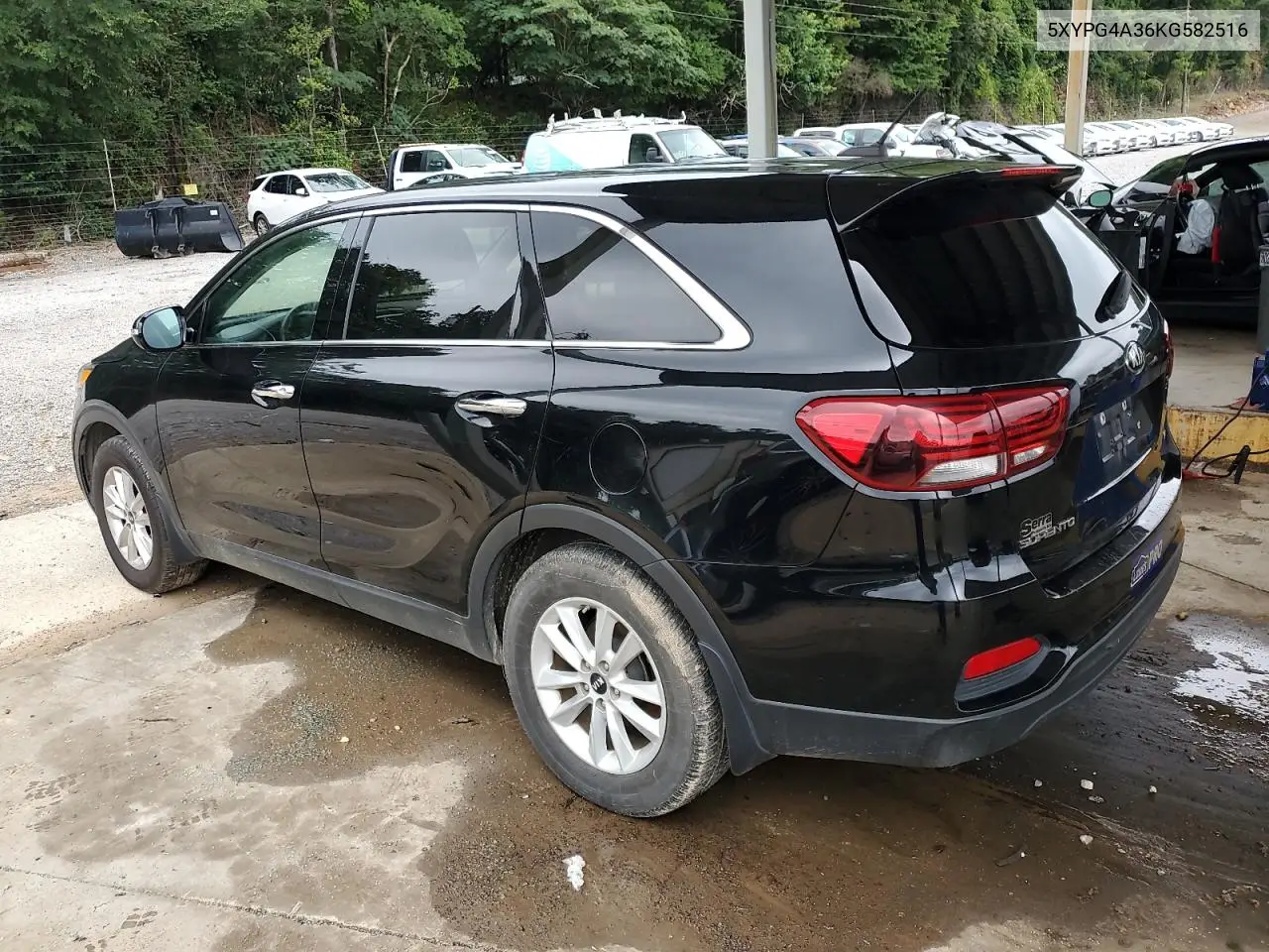 2019 Kia Sorento L VIN: 5XYPG4A36KG582516 Lot: 62967375