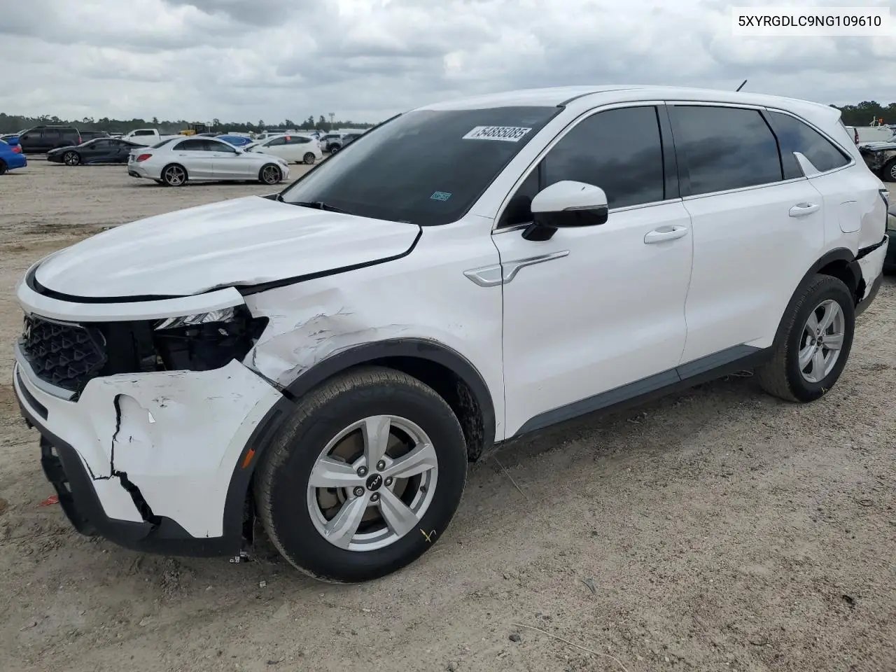 2022 Kia Sorento Lx VIN: 5XYRGDLC9NG109610 Lot: 54885085