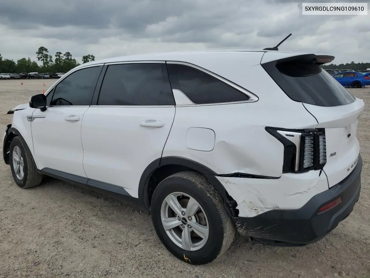 2022 Kia Sorento Lx VIN: 5XYRGDLC9NG109610 Lot: 54885085