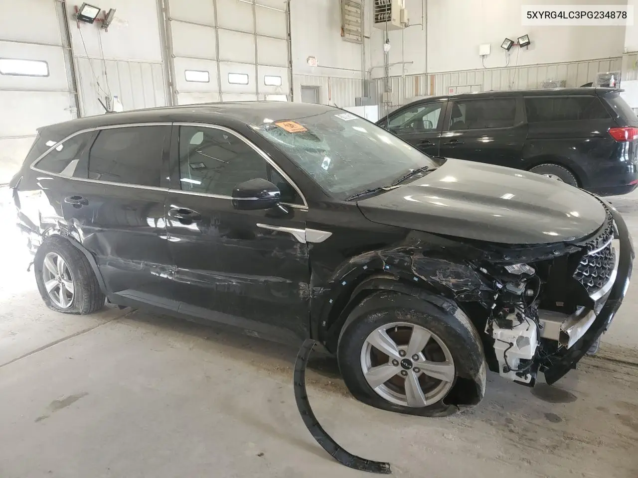 2023 Kia Sorento Lx VIN: 5XYRG4LC3PG234878 Lot: 51898535