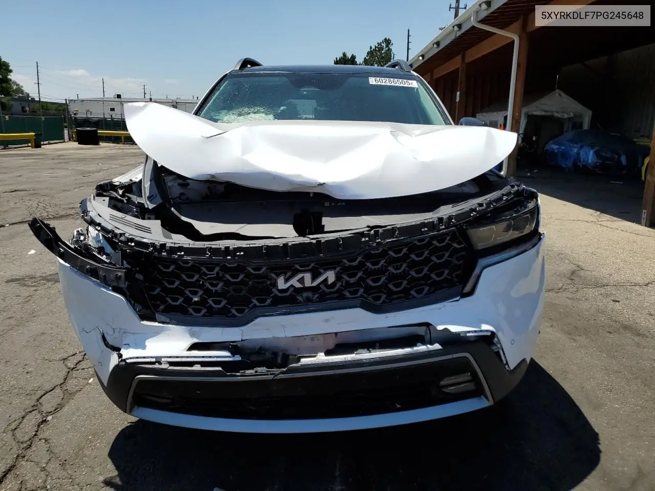 2023 Kia Sorento Sx VIN: 5XYRKDLF7PG245648 Lot: 60286505