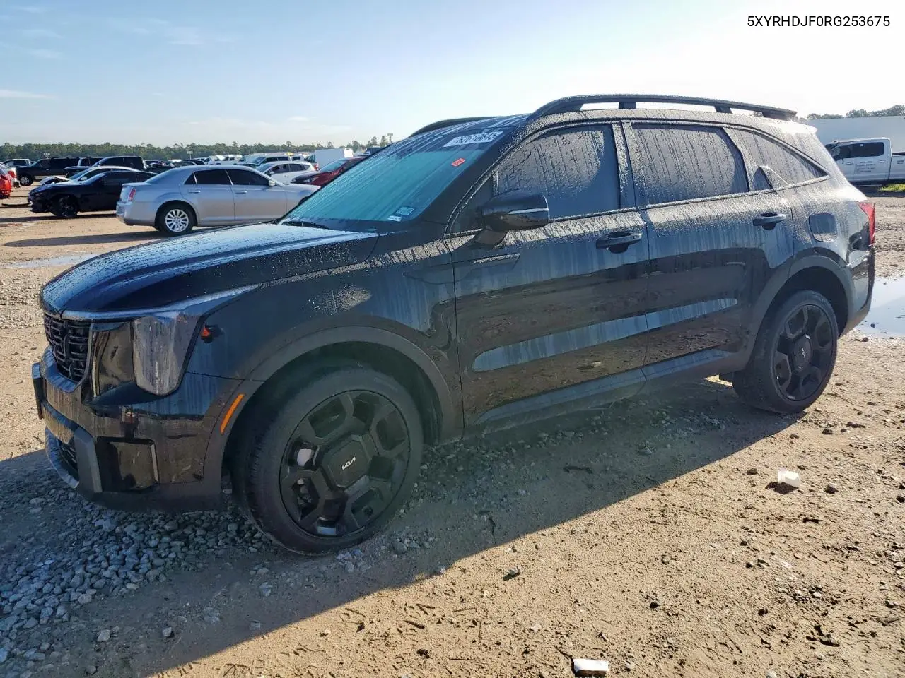 2024 Kia Sorento Ex VIN: 5XYRHDJF0RG253675 Lot: 62610645