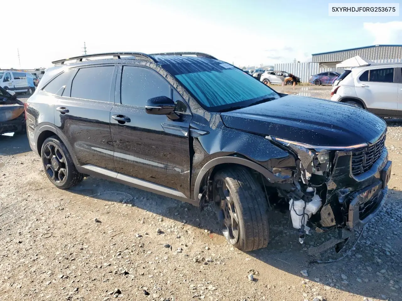 2024 Kia Sorento Ex VIN: 5XYRHDJF0RG253675 Lot: 62610645