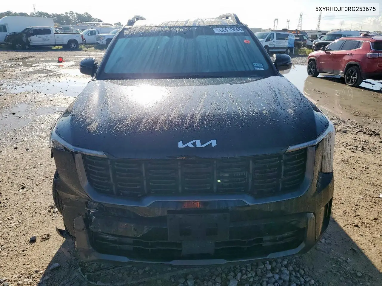 2024 Kia Sorento Ex VIN: 5XYRHDJF0RG253675 Lot: 62610645
